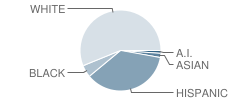 Norman Jr High School Student Race Distribution