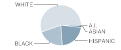 Kilgore Intermediate School Student Race Distribution