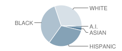 Fowler Elementary School Student Race Distribution