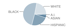 Rancier Middle School Student Race Distribution