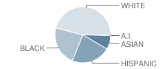 Mountain View Elementary School Student Race Distribution