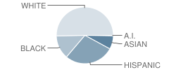 Ehrhardt Elementary School Student Race Distribution