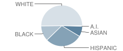 Schindewolf Intermediate School Student Race Distribution