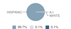 Patricio Perez Elementary School Student Race Distribution