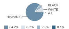 Bowie Elementary School Student Race Distribution