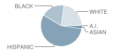 B F Terry High School Student Race Distribution