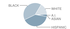 West Main Elementary School Student Race Distribution