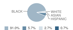 Rosa Parks / Millbrook Elementary School Student Race Distribution