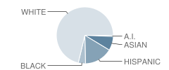 Pauline Naumann Elementary School Student Race Distribution