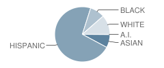 Hedrick Elementary School Student Race Distribution