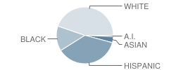 Stewarts Creek Elementary School Student Race Distribution