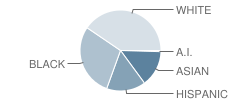 Polser Elementary School Student Race Distribution