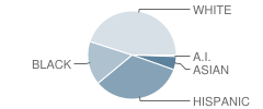 Huffines Middle School Student Race Distribution