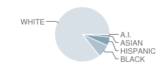 Lit Cypr-Mrceville High School Student Race Distribution