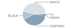 Herschel Zellars Elementary School Student Race Distribution