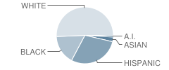 Cesar Chavez Elementary School Student Race Distribution