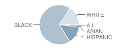 Bramlette Elementary School Student Race Distribution