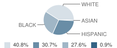 Anderson Elementary School Student Race Distribution