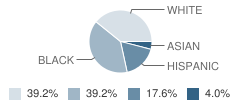 Brandon Elementary School Student Race Distribution