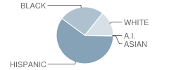 Garrett Primary School Student Race Distribution