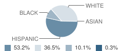 Luling High School Student Race Distribution