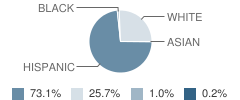 Lytle High School Student Race Distribution