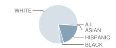 Bear Branch Junior High Sixth Grade School Student Race Distribution