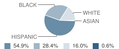 Manor Middle School Student Race Distribution