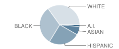 D P Morris Elementary School Student Race Distribution