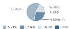 R E Lee Elementary School Student Race Distribution