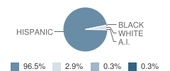 Travis Middle School Student Race Distribution