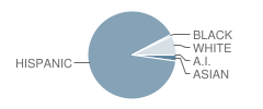 Memorial High School Student Race Distribution