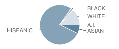 Gonzalez Elementary School Student Race Distribution