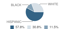 Burks Elementary School Student Race Distribution