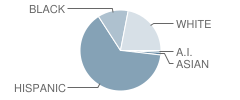 Caldwell Elementary School Student Race Distribution