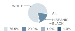 Medina High School Student Race Distribution