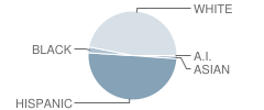 Medina Valley High School Student Race Distribution