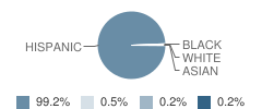 Travis Elementary School Student Race Distribution