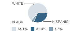 Meridian Elementary School Student Race Distribution