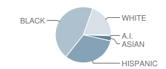 Price Elementary School Student Race Distribution