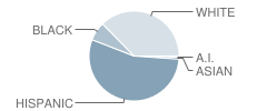 Midland Freshman High School Student Race Distribution