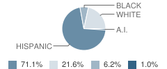 Morton Junior High School Student Race Distribution