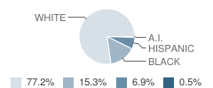 Mt Enterprise Elementary School Student Race Distribution