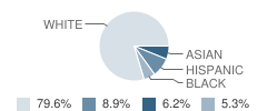 Nederland High School Student Race Distribution