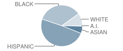 Camelot Elementary School Student Race Distribution