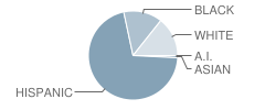 East Terrell Hills Elementary School Student Race Distribution