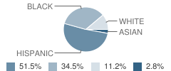 Montgomery Elementary School Student Race Distribution