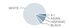 Bailey Intermediate School Student Race Distribution