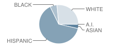 Boone Elementary School Student Race Distribution