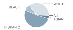 Hobby Middle School Student Race Distribution